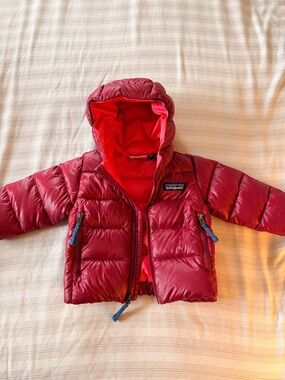 Patagonia Kids Crimson Hooded Down Puffer Jacket